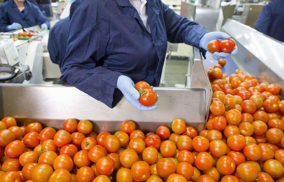 從田間到餐桌 農(nóng)副食品加工業(yè)的內(nèi)涵、現(xiàn)狀與未來(lái)展望